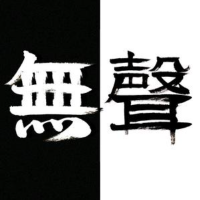 无声流影