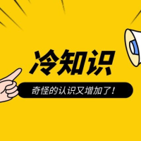 冷知识好玩