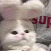 桓剧情编织者