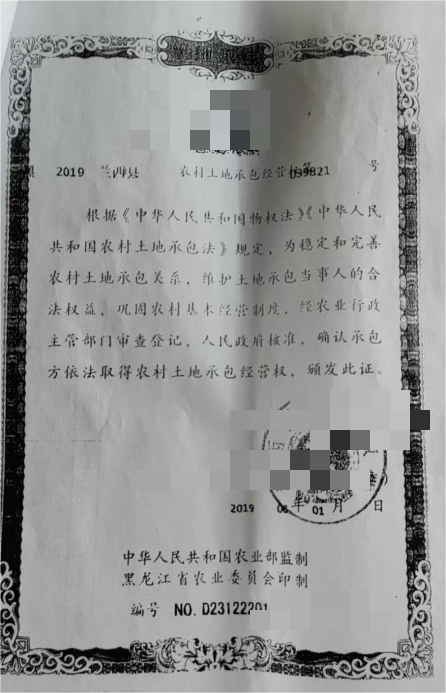 黑龙江66岁孤寡老农土地被夺27年, 村官强占土地, 相关部门不作为