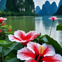 懂车的涵润呀