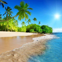 上海阿蔡的文创与观察