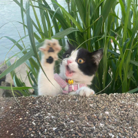 佳浩