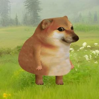 Cheems狗熊