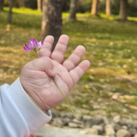 捡瓶子的老阿姨