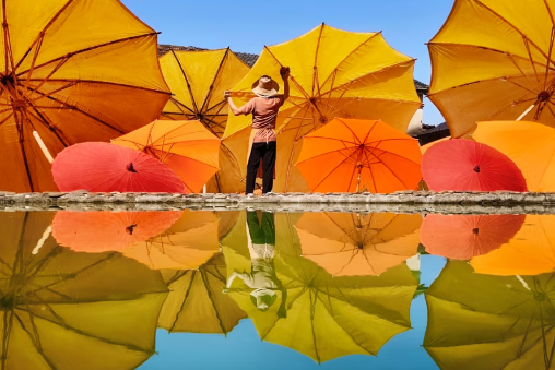 vivo Y500 Pro测评，实拍样张分享，成像出色