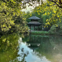 温明杰阿