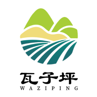 瓦子坪说山茶油