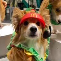 我那一大家子