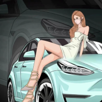 会评车的木石哥