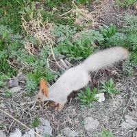 又又说社会热点