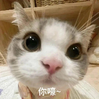 荔荔看娱乐