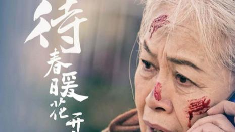 《待春暖花开时（43集）》短剧全集高清完整版在线观看