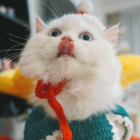 爱与被爱的挣扎