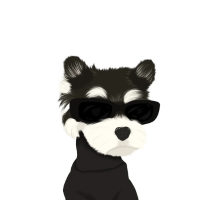 光储充一体玩家