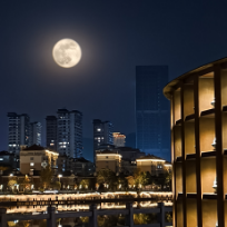 绿谷飞鹰风轻云淡在人间