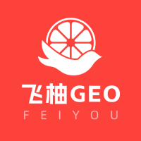 飞柚GEO优化