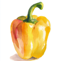 小众宝藏观测站