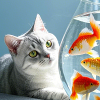 煜煜的小剧场吖