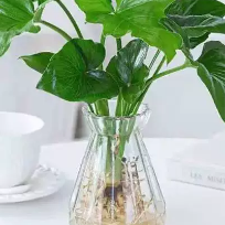 冬天的第一杯热咖啡