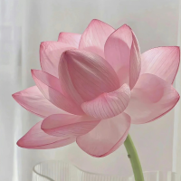 薇薇的美食日记