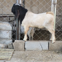 好滴好滴