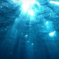 阿桂侃事记