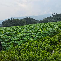 疯疯癫癫法力无边