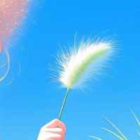 狗尾巴草的春夏