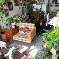 躺在甲板上看直播的白鹭