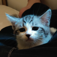 阿龙个人工作号