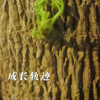 态度有观点的国内
