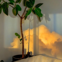 潮流生活的体验官