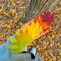 爱开车的小鱼鱼