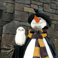 一一数码探测员