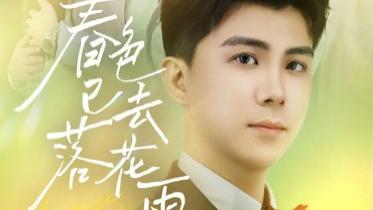 热播短剧《春色已去落花雨》：55 集编织的唯美情感与成长史诗