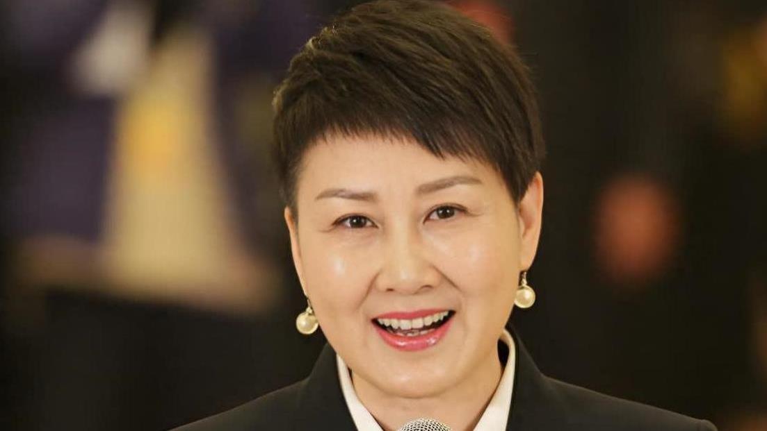 国民媳妇张凯丽，足力健风波后，两会发言惊呆网友
