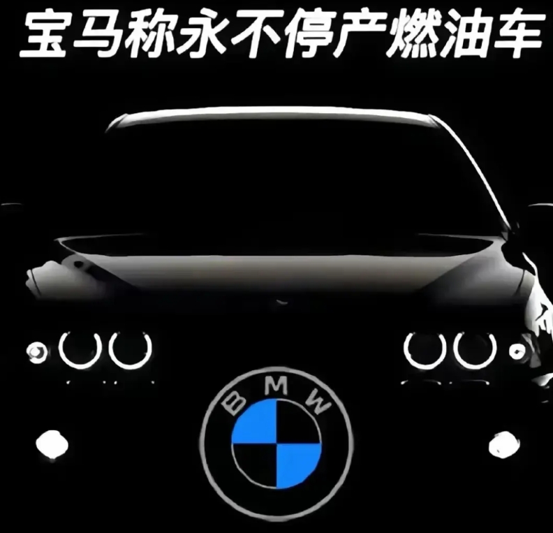 近期，宝马宣称将永不停产燃油车。然而就当前的形势来看，新能源车的市场份额每年都在