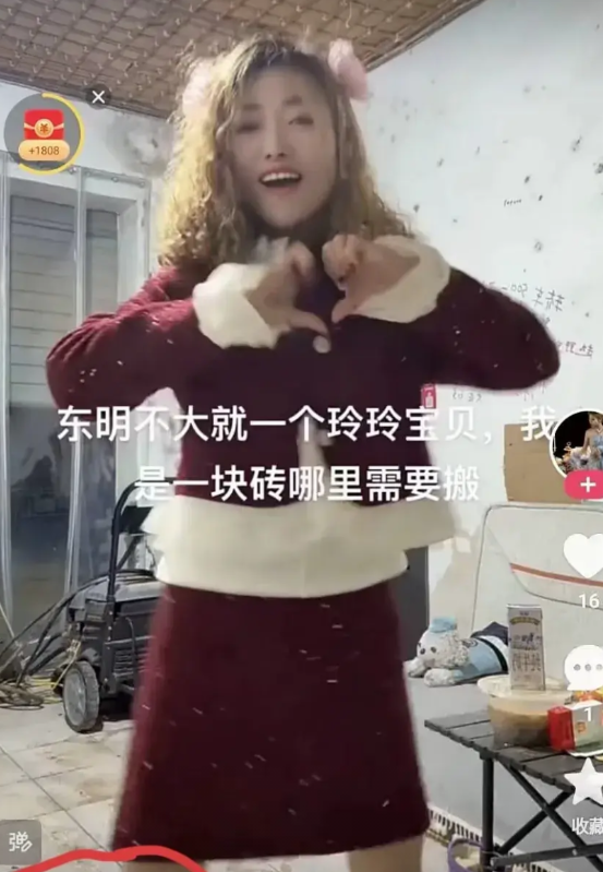 山东菏泽东明县（小网红徐玲玲）爬上警车引擎盖滋事，后被强制带离，处以行政拘留处罚
