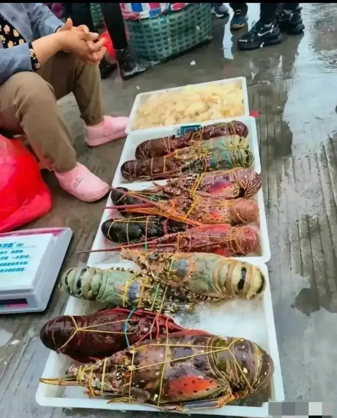 就算摆在大马路上卖，俺也吃不起啊