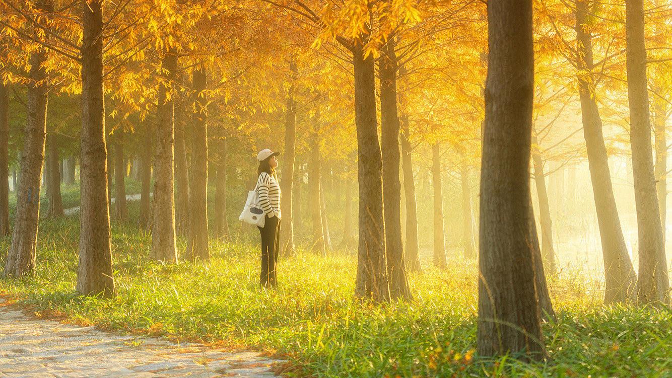 晒晒身边的秋冬景：把季节调成“私人滤镜”