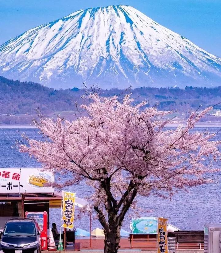 日本撕掉了保护自己不被清算的“中日联合声明”，这次真的很皮了。日本清算历史上的殖