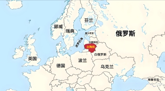 立陶宛正式决定“退群了”。
据路透社报道，当地时间6月27日，立陶宛外长布德里斯
