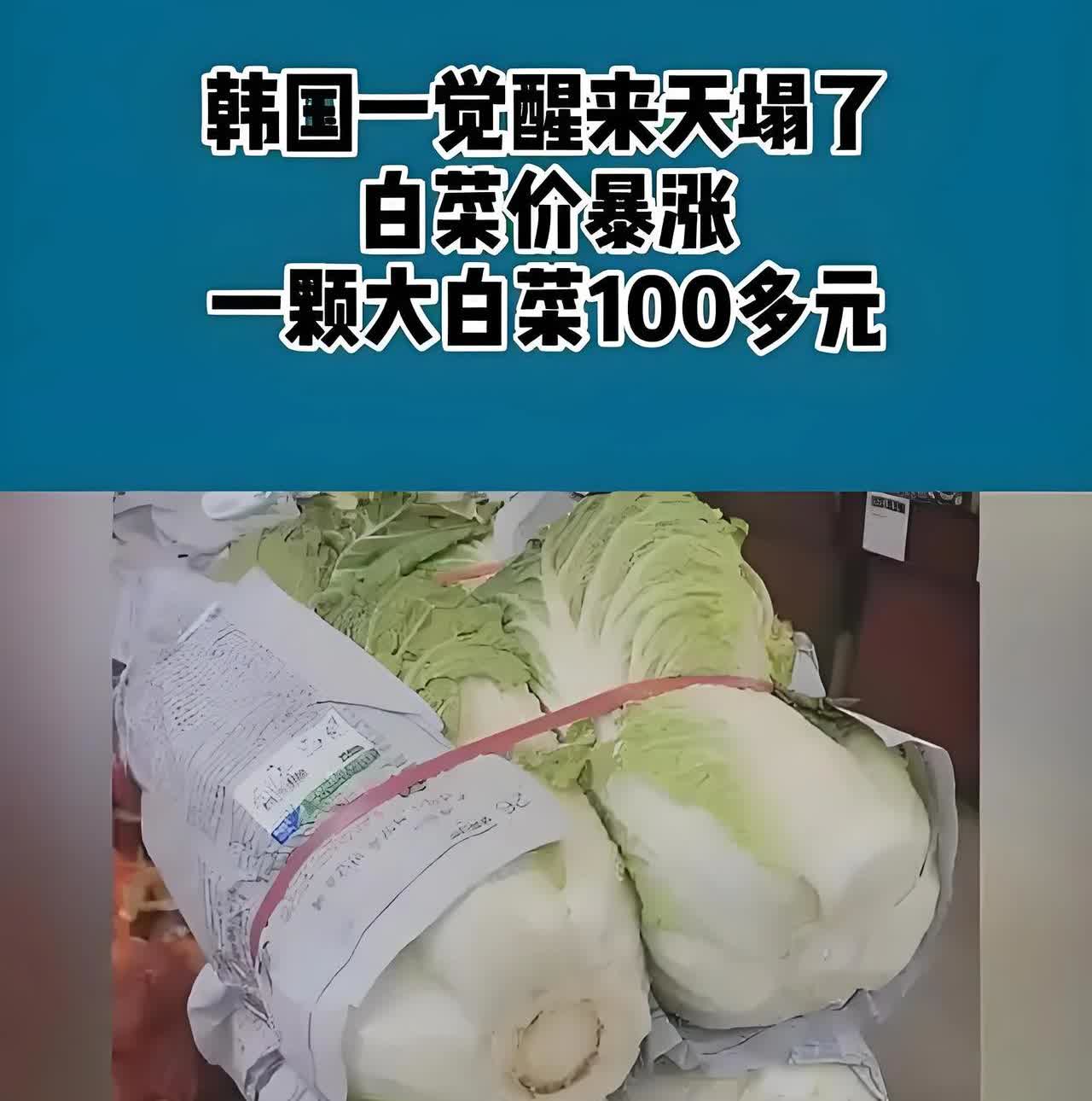 韩国人一觉醒来“天塌了”
要吃不起菜了？
2025年8月3日晚上，韩国人快吃