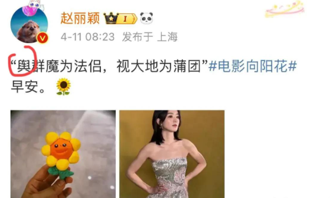 赵丽颖又又打错字了，网友：越没有什么越想秀什么
