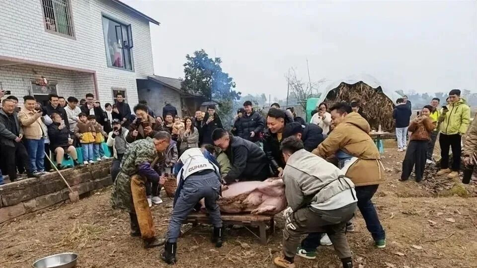 从合川千人杀猪宴看文旅新风口：情感共鸣与专业策划如何成就长红IP