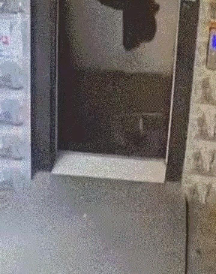 太危险了！老人骑三轮电动车冲破电梯门，坠入电梯井。



令人心惊的画面在一瞬间