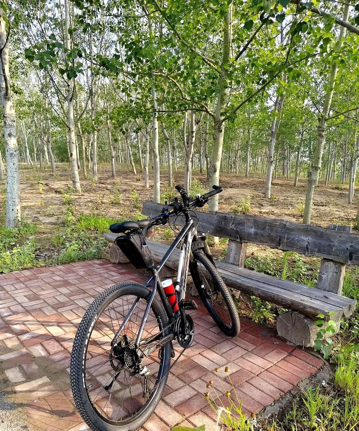 2019年过生日的时候，孩子送了我一份礼物，是一辆美利达公爵600。
那可是当时