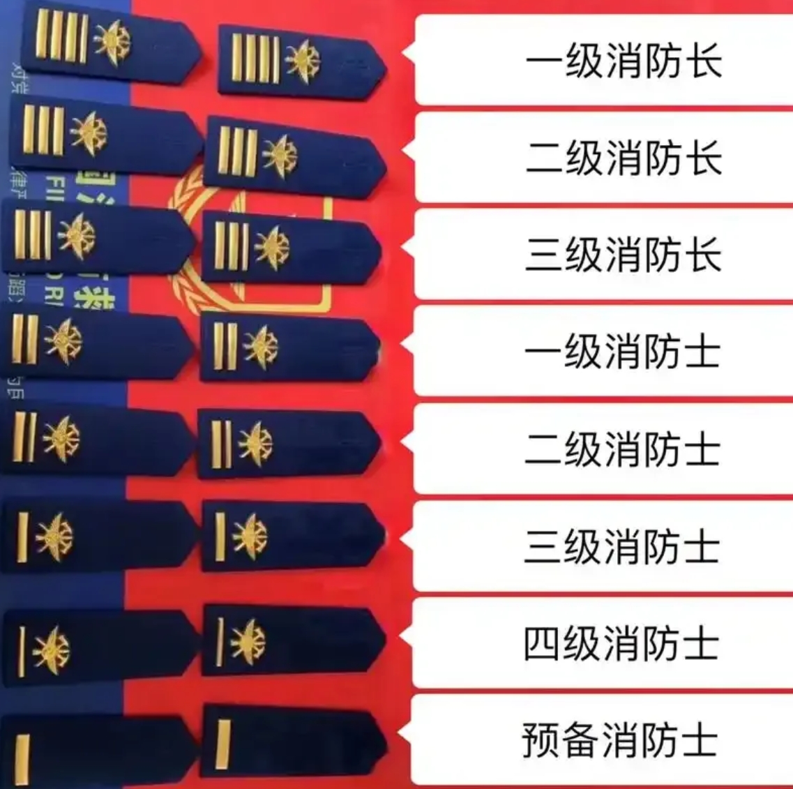 侯某某的丈夫是什么级别？为什么会有《中华人民共和国行政执法证》？终于弄明白了！