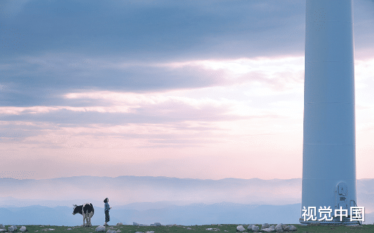 模范母亲火遍全网后，我却反手十连告